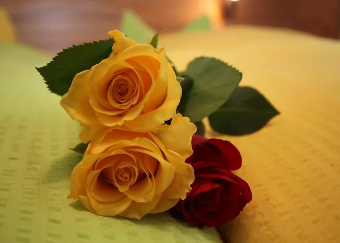 Haus Seebach Affittacamere Berwang