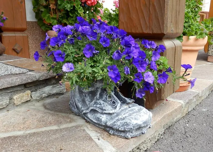 Haus Seebach Affittacamere