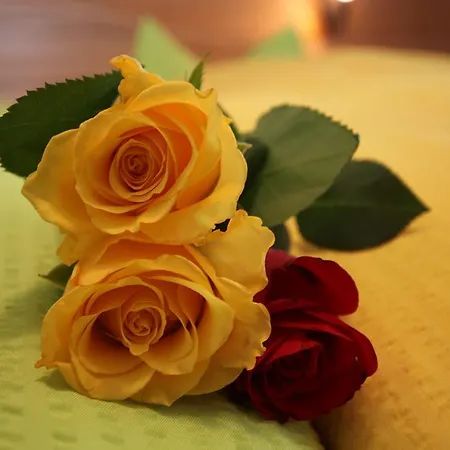 Haus Seebach Konukevi Berwang