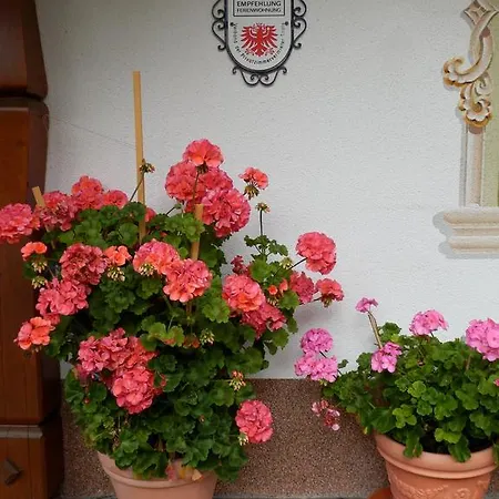 Haus Seebach 4* Берванг