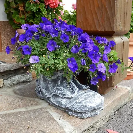 Haus Seebach Гостевой дом